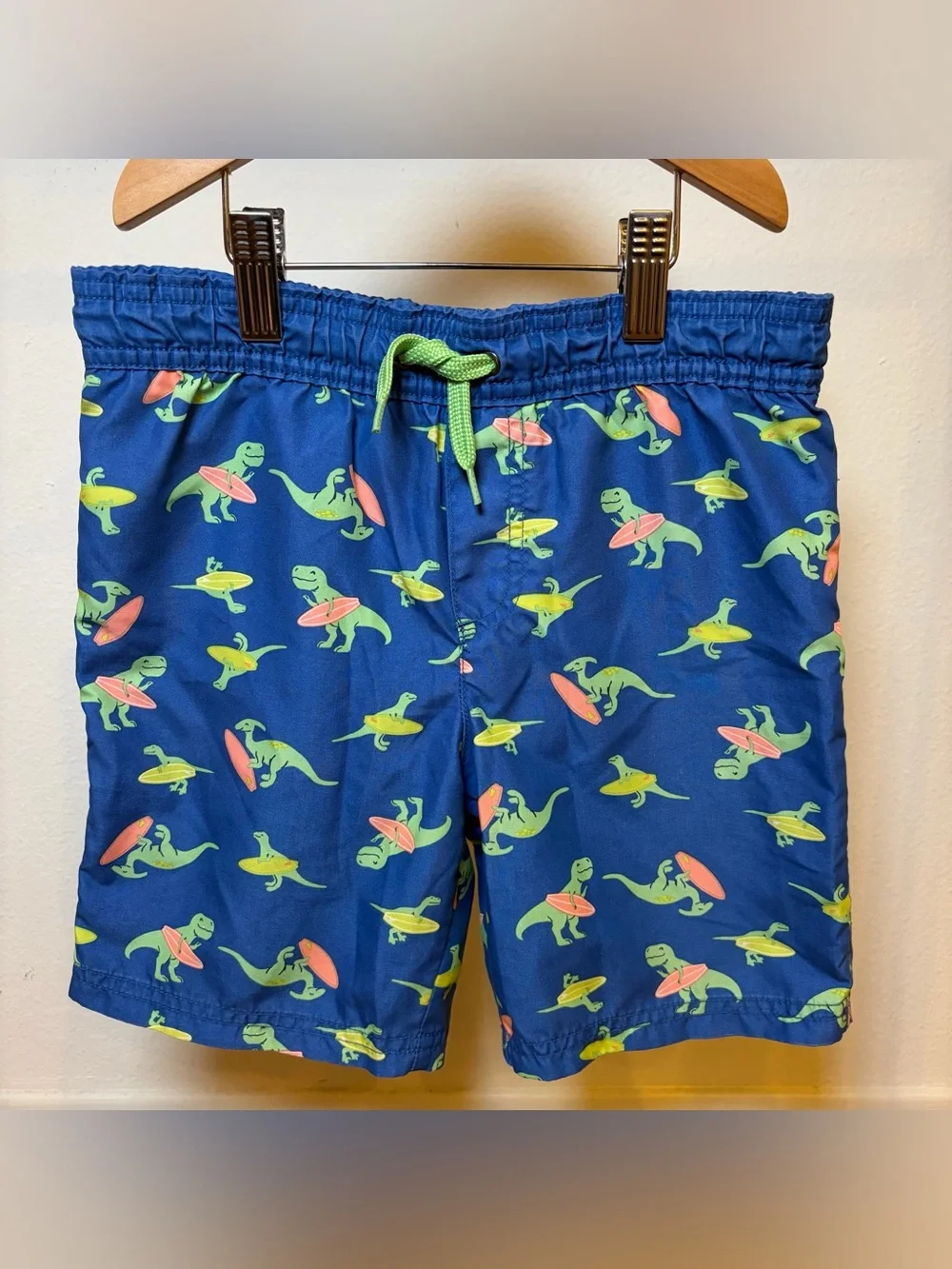 Simple Joys by Carter’s Boys Dinosaur Swim Trunk 5T